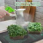 Seedling Heat Mat 20 x20  Seed Starter Pad Germination Propagation Clone