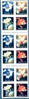 Soco Stamps - Us Scott  3457e - 2000 4 Flowers First Class 34   Full Booklet Mnh