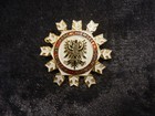 Chiemsee  Affc  Ski Austria ski Alpine   Nordic  Tyrolean Eagle Snowflake Bro 