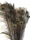 40 Peacock Feathers 14 To 32 Inches Long  Support Small Farms  Decor Wedding