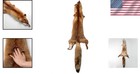 Red Fox Fur Hide Diy Crafts 44-49  Trapping Coats
