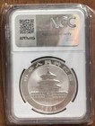Ngc Ms 70 China 1994 Ld Panda Large Date Panda Silver Coin 1oz 10 Yuan