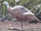 Primos Hen Turkey Decoy And Setup Stake
