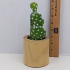 Artificial Cactus Plant In Wooden Pot Faux Succulent Home Office Decor 9  Green