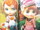 Blythe Photo Book Wonder World Art Ooak Doll Book Japan Cwc 2008