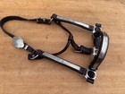 Circle Y Silver Show Horse Halter   Full Size
