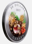 2017 Canada  20 Silver Coin Under The Sea   Sea Star Proof Ogp  Rcm