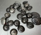 Vintage Antique Navajo Round Concho Buttons Silver Hand Stamped Lot Of 26