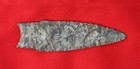 Holland Arrowhead Gray Florence Chert Butler Coa
