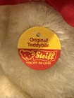 Vintage Steiff White Teddy Bear 1982 Original Knopf Im Ohr Button   Tag 6708