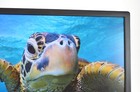 Grade A Dell U2412m 24  Widescreen Monitor 1920x1200 Displayport Dvi Vga