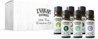 100  Pure Essential Oil Aromatherapy Therapeutic Grade Natural   Organic  6 Pk 