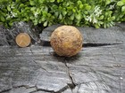 Old Rare Vintage Antique Civil War Relic Confederate Canister Shot Appomattox Va