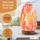 Himalayan Salt Lamp 8-10 Inch  7-11 Lb  With Dimmable Switch And Night Light Bul