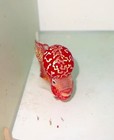 High-quality Male Super Red Dragon Flowerhorn With Vibrant Color And Strong Head