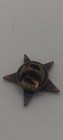 Tgi Fridays Star Pin Badge Vintage