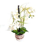 White Silk Flowers Orchids In Vase  Flower Arrangement 20   Euc