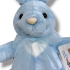 Animal Alley Blue Bunny Rabbit Plush Stuffed Animal Toys R Us Poseable Ears 2000