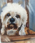 New Signed   Numbered 11x14  Print Of A Dandie Dinmont Terrier By Ruth Maystead 