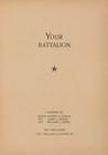 File 41st Tank Battalion     War History 1944-45 Kia Awards