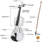 4 4 White Acoustic Violin Set With Case  Bow   Rosin     Full-size Bundle
