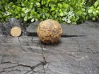 Old Rare Vintage Antique Civil War Relic Confederate Canister Shot Appomattox Va