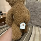 Jellycat Teddy Bear Brown Plush Stuffed Animal Small  6-14 In  Jcinc5238