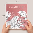 Beautiful Adult Coloring Book Set Of 2 For Relaxation - Gratitude Books Gratitud