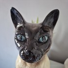 Beswick Cat The Siamese Cat Fireside Model No  2139 Gloss Large 