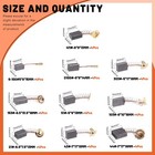 Tanstic 40pcs Electric Motor Carbon Brushes  10 Different Sizes Carbon Brush    