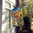 Cockapoo In Sunflowers Flag Canvas House Size Dac6057chf