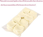Code Florist 2200 Pcs Silk Flower Rose Petals For Wedding Decorations  ivory 