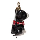 Joy To The World Boston Terrier Dog Polish Blown Glass Christmas Ornament