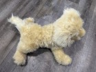Fao Schwarz Plush Puppy Dog Cream Beige Stuffed Animal Floppy Ears 12    Toy