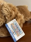 Animal Alley Toys R Us Purebred Collection Cocker Spaniel Plush Puppy Dog Brown