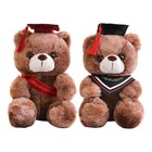 Graduation Cartoon Bear Soft Plush Toy Stuffed Doll University Celebration Gift