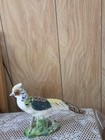 Vintage Ceramic Pheasant Figurine  Japan   Mid 20th Century  8  Tall X 18  Long