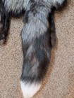Rare Ranch Silver Cross Fox Hide Pelt Freshly Tanned soft Luxurious Fur Huge