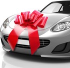 23in Giant Car Gift Bow Matte Red Butterfly Waterproof From Usa