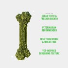 Minties Dog Dental Bone Treats  Dental Chews For Large Dogs  36 Count