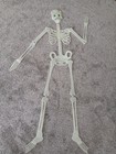 Halloween Jointed Skeleton 50  Vtg Glow In The Dark Decor Eastern Unlimited Inc 