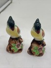 Py Tropical Birds Ceramic Salt   Pepper Shakers Vintage 3 5x1 5    Colorful
