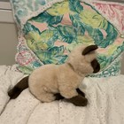 Webkinz Signature Siamese Cat Unused Code