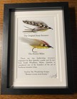 Pair Of Framed Classic Fly Fishing Streamer Shadowboxes 