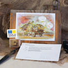 Postcard Ukrainian Cotton Complete Set Of Original Postcards