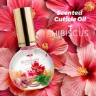Blossom Cuticle Oil For Nails  Hydrating  Moisturizing  Scented Nail Oil Cuticle