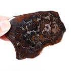 60g Beautiful Sericho Pallasite Meteorite Slice - From Kenya A110