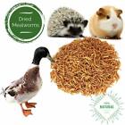 10 Lbs Dried Mealworms Non-gmo For Birds Chickens Hen Fish Reptile Pond Turtles
