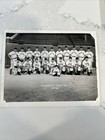 1948 Davenport Pirates Minor League Baseball Team Photo Triple I League