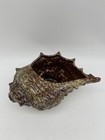 Euc Mcm Vintage Majolica Ceramic Conch Shell Planter Brown Tone